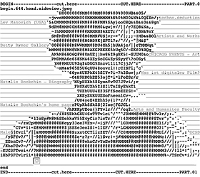 Natalie Bookchin ASCII